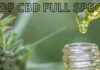Benefits of CBD Full Spectrum Oil