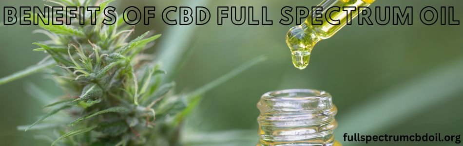 Benefits of CBD Full Spectrum Oil